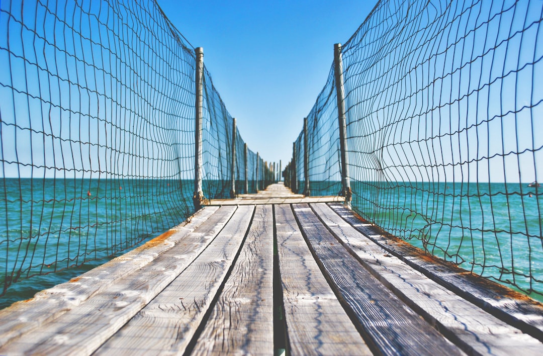 Bridging the Gap: Net-Zero Pledges Bring Us Closer to Climate Goals