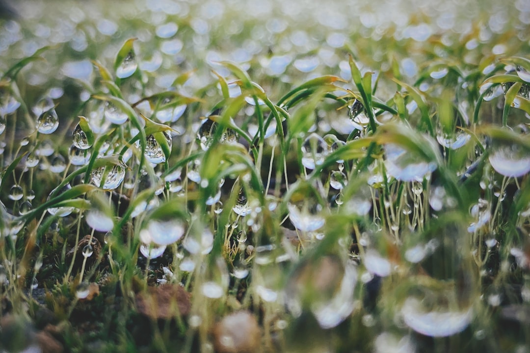 New Insights on Evapotranspiration: The Crucial Role of Land-Atmosphere Feedbacks